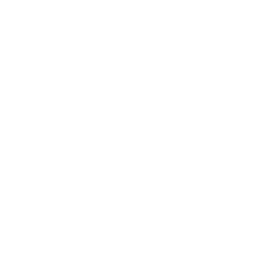 MariaDB logo